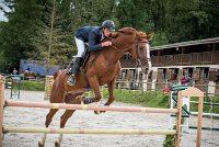 0015CSO SAINT AULDE- GP 125 - QUALINE 0252GP125CSO 6697- : 2016, 3 juillet 2016, BRIDOUX Thibault, CSO Saint Aulde, Grand Prix 125cm, QUALINE DE LA MARFEE