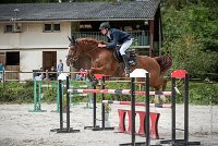 0003CSO SAINT AULDE - GP 130  - QUALINDE DE LA MARFEE 0338CSO Saint Aulde GP 130CSO 3932- : 2 juillet 2016, 2016, BRIDOUX Thibault, CSO Saint Aulde, DOLCE DU GRAND ROUTHEUX, Grand prix 130cm, QUALINE DE LA MARFEE