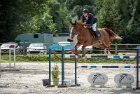 0005CSO SAINT AULDE - GP 130  - QUALINDE DE LA MARFEE 0340CSO Saint Aulde GP 130CSO 3934- : 2 juillet 2016, 2016, BRIDOUX Thibault, CSO Saint Aulde, DOLCE DU GRAND ROUTHEUX, Grand prix 130cm, QUALINE DE LA MARFEE