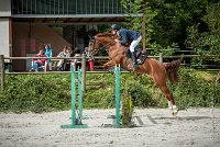 0008CSO SAINT AULDE - GP 130  - QUALINDE DE LA MARFEE 0343CSO Saint Aulde GP 130CSO 3937- : 2 juillet 2016, 2016, BRIDOUX Thibault, CSO Saint Aulde, DOLCE DU GRAND ROUTHEUX, Grand prix 130cm, QUALINE DE LA MARFEE