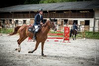 0012CSO SAINT AULDE - GP 130  - QUALINDE DE LA MARFEE 0347CSO Saint Aulde GP 130CSO 3941- : 2 juillet 2016, 2016, BRIDOUX Thibault, CSO Saint Aulde, DOLCE DU GRAND ROUTHEUX, Grand prix 130cm, QUALINE DE LA MARFEE