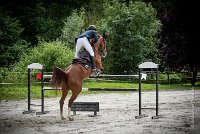 0014CSO SAINT AULDE - GP 130  - QUALINDE DE LA MARFEE 0349CSO Saint Aulde GP 130CSO 3943- : 2 juillet 2016, 2016, BRIDOUX Thibault, CSO Saint Aulde, DOLCE DU GRAND ROUTHEUX, Grand prix 130cm, QUALINE DE LA MARFEE