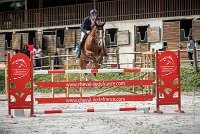 0016CSO SAINT AULDE - GP 130  - QUALINDE DE LA MARFEE 0350CSO Saint Aulde GP 130CSO 3945- : 2 juillet 2016, 2016, BRIDOUX Thibault, CSO Saint Aulde, DOLCE DU GRAND ROUTHEUX, Grand prix 130cm, QUALINE DE LA MARFEE