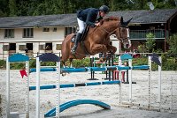 0018CSO SAINT AULDE - GP 130  - QUALINDE DE LA MARFEE 0352CSO Saint Aulde GP 130CSO 3947- : 2 juillet 2016, 2016, BRIDOUX Thibault, CSO Saint Aulde, Grand prix 130cm, QUALINE DE LA MARFEE