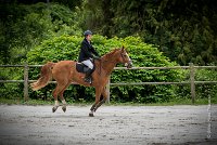 001CSO SAINT AULDE - PREPA 90 - QUECHUA -4230 : 2016, 3 juillet 2016, CSO Saint Aulde, D20, PREPARATOIRE 90 cm, Prepa, QUECHUA