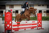 007CSO SAINT AULDE - PREPA 90 - QUECHUA -4235 : 2016, 3 juillet 2016, CSO Saint Aulde, D20, PREPARATOIRE 90 cm, Prepa, QUECHUA