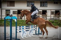 018CSO SAINT AULDE - PREPA 90 - QUECHUA -4246 : 2016, 3 juillet 2016, CSO Saint Aulde, D20, PREPARATOIRE 90 cm, Prepa, QUECHUA