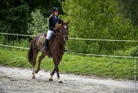 004CSO ST AULDE -PREPA 100 - QUEEN DE ROUERIE -4525 : 2016, 3 juillet 2016, COMINET Cindy, CSO Saint Aulde, P4, PREPARATOIRE 100 cm, Prepa, QUEEN DE ROUERIE