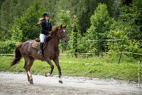 008CSO ST AULDE -PREPA 100 - QUEEN DE ROUERIE -4529 : 2016, 3 juillet 2016, COMINET Cindy, CSO Saint Aulde, P4, PREPARATOIRE 100 cm, Prepa, QUEEN DE ROUERIE