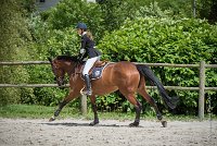 0001CSO SAINT AULDE- GP120 - RAFALE DE GOBAUDE 0202CSO Saint Aulde GP 120CSO 3498- : 2 juillet 2016, 2016, CSO Saint Aulde, GROUBERMAN Sophie, Grand prix 120cm, RAFALE DE GOBAUDE