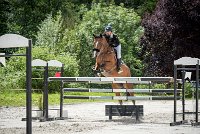 0009CSO SAINT AULDE- GP120 - RAFALE DE GOBAUDE 0213CSO Saint Aulde GP 120CSO 3508- : 2 juillet 2016, 2016, CSO Saint Aulde, GROUBERMAN Sophie, Grand prix 120cm, RAFALE DE GOBAUDE