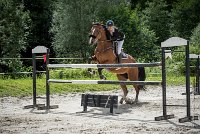 0011CSO SAINT AULDE- GP120 - RAFALE DE GOBAUDE 0214CSO Saint Aulde GP 120CSO 3510- : 2 juillet 2016, 2016, CSO Saint Aulde, GROUBERMAN Sophie, Grand prix 120cm, RAFALE DE GOBAUDE