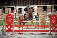 0013CSO SAINT AULDE- GP120 - RAFALE DE GOBAUDE 0216CSO Saint Aulde GP 120CSO 3512- : 2 juillet 2016, 2016, CSO Saint Aulde, GROUBERMAN Sophie, Grand prix 120cm, RAFALE DE GOBAUDE