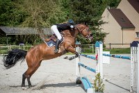 0015CSO SAINT AULDE- GP120 - RAFALE DE GOBAUDE 0218CSO Saint Aulde GP 120CSO 3514- : 2 juillet 2016, 2016, CSO Saint Aulde, GROUBERMAN Sophie, Grand prix 120cm, RAFALE DE GOBAUDE