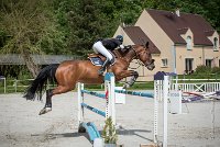 0016CSO SAINT AULDE- GP120 - RAFALE DE GOBAUDE 0219CSO Saint Aulde GP 120CSO 3515- : 2 juillet 2016, 2016, CSO Saint Aulde, GROUBERMAN Sophie, Grand prix 120cm, RAFALE DE GOBAUDE