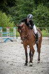 0008CSO SAINT AULDE- GP105  RDP 0743GP105CSO 5590- : 2016, 3 juillet 2016, CSO Saint Aulde, Grand Prix 105cm, remise des prix