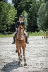 0011CSO SAINT AULDE- GP120  RDP 0274CSO Saint Aulde GP 120CSO 3570- : 2 juillet 2016, 2016, CSO Saint Aulde, Grand prix 120cm, remise des prix