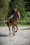 0028CSO SAINT AULDE- GP120  RDP 0295CSO Saint Aulde GP 120CSO 3591- : 2 juillet 2016, 2016, CSO Saint Aulde, Grand prix 120cm, remise des prix