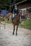 0035CSO SAINT AULDE- GP130  RDP 0463CSO Saint Aulde GP 130CSO 4056- : 2 juillet 2016, 2016, CSO Saint Aulde, Grand prix 130cm, remise des prix