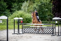 008CSO ST AULDE -GP 110 - SARA D'HELBY -3025 : 2 juillet 2016, 2016, AIRES Morgane, CSO Saint Aulde, Grand prix 110cm, SARA D'HELBY