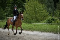 008CSO ST AULDE -PREPA 100 - SAUSSOIS -4830 : 2016, 3 juillet 2016, COLLIN Marie, CSO Saint Aulde, PREPARATOIRE 100 cm, Prepa, SAUSSOIS