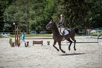 0014 CSO SAINT AULDE- GP110- SEREINE 0248CSO Saint Aulde GP 110CSO 2838- : 2 juillet 2016, 2016, CSO Saint Aulde, Grand prix 110cm, SEREINE DE ROMENY, SOULIS Agathe