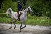 0003CSO SAINT AULDE - PREPA 90   - SHAMDALA ROUGE0100Prepa CSO 4162- : 2016, 3 juillet 2016, CSO Saint Aulde, DHEYGRE Anthonin, PREPARATOIRE 90 cm, Prepa, SHAMDALA ROUGE