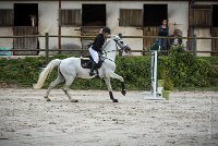 0001CSO SAINT AULDE - GP 105 - SHUTTERFLY 0415GP105CSO 5262- : 2016, 3 juillet 2016, CSO Saint Aulde, Grand Prix 105cm, PALUSZCZAK Marie_France, SHUTTERFLY DE L'OURCQ