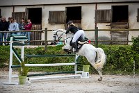 0012CSO SAINT AULDE - GP 105 - SHUTTERFLY 0426GP105CSO 5273- : 2016, 3 juillet 2016, CSO Saint Aulde, Grand Prix 105cm, PALUSZCZAK Marie_France, SHUTTERFLY DE L'OURCQ