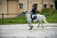 0023CSO SAINT AULDE - GP 105 - SHUTTERFLY 0437GP105CSO 5284- : 2016, 3 juillet 2016, CSO Saint Aulde, Grand Prix 105cm, PALUSZCZAK Marie_France, SHUTTERFLY DE L'OURCQ