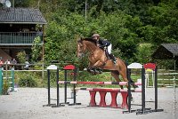 004CSO ST AULDE -GP 110 - SIC DE LA LANDE -3101 : 2 juillet 2016, 2016, CSO Saint Aulde, Grand prix 110cm, SAINE Laura, SIC DE LA LANDE