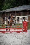 005CSO ST AULDE -GP 110 - SIC DE LA LANDE -3102 : 2 juillet 2016, 2016, CSO Saint Aulde, Grand prix 110cm, SAINE Laura, SIC DE LA LANDE