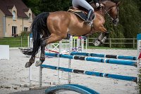 009CSO ST AULDE -GP 110 - SIC DE LA LANDE -3106 : 2 juillet 2016, 2016, CSO Saint Aulde, Grand prix 110cm, SAINE Laura, SIC DE LA LANDE