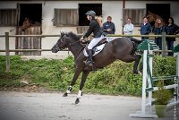 012CSO ST AULDE -PREPA 90 - SUN BLACK FOREVER -4153 : 2016, 3 juillet 2016, CSO Saint Aulde, GOUPILLON Flora, PREPARATOIRE 90 cm, Prepa, SUN BLACK FOREVER