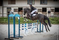 018CSO ST AULDE -PREPA 90 - SUN BLACK FOREVER -4159 : 2016, 3 juillet 2016, CSO Saint Aulde, GOUPILLON Flora, PREPARATOIRE 90 cm, Prepa, SUN BLACK FOREVER