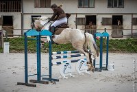 017CSO ST AULDE -PREPA 90 - TEXANE DES MEYRES -4194 : 2016, 3 juillet 2016, BERNARD Audrey, CSO Saint Aulde, PREPARATOIRE 90 cm, Prepa, TEXANE DES MEYRES