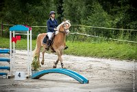 001CSO ST AULDE -PREPA 90 - TI COEUR DE CANNELLE -4310 : 2016, 3 juillet 2016, CSO Saint Aulde, PREPARATOIRE 90 cm, Prepa, SURDEAU Laura, TI COEUR DE CANNELLE