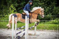 004CSO ST AULDE -PREPA 90 - TI COEUR DE CANNELLE -4313 : 2016, 3 juillet 2016, CSO Saint Aulde, PREPARATOIRE 90 cm, Prepa, SURDEAU Laura, TI COEUR DE CANNELLE