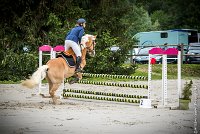 005CSO ST AULDE -PREPA 90 - TI COEUR DE CANNELLE -4314 : 2016, 3 juillet 2016, CSO Saint Aulde, PREPARATOIRE 90 cm, Prepa, SURDEAU Laura, TI COEUR DE CANNELLE