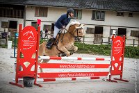 008CSO ST AULDE -PREPA 90 - TI COEUR DE CANNELLE -4317 : 2016, 3 juillet 2016, CSO Saint Aulde, PREPARATOIRE 90 cm, Prepa, SURDEAU Laura, TI COEUR DE CANNELLE