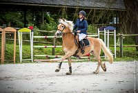 010CSO ST AULDE -PREPA 90 - TI COEUR DE CANNELLE -4319 : 2016, 3 juillet 2016, CSO Saint Aulde, PREPARATOIRE 90 cm, Prepa, SURDEAU Laura, TI COEUR DE CANNELLE