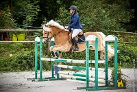 012CSO ST AULDE -PREPA 90 - TI COEUR DE CANNELLE -4321 : 2016, 3 juillet 2016, CSO Saint Aulde, PREPARATOIRE 90 cm, Prepa, SURDEAU Laura, TI COEUR DE CANNELLE