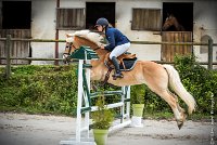 013CSO ST AULDE -PREPA 90 - TI COEUR DE CANNELLE -4322 : 2016, 3 juillet 2016, CSO Saint Aulde, PREPARATOIRE 90 cm, Prepa, SURDEAU Laura, TI COEUR DE CANNELLE