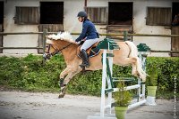 014CSO ST AULDE -PREPA 90 - TI COEUR DE CANNELLE -4323 : 2016, 3 juillet 2016, CSO Saint Aulde, PREPARATOIRE 90 cm, Prepa, SURDEAU Laura, TI COEUR DE CANNELLE