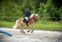 001CSO ST AULDE -PREPA 100 - TI COEUR DE CANNELLE -4564 : 2016, 3 juillet 2016, CSO Saint Aulde, PREPARATOIRE 100 cm, Prepa, SURDEAU Laura, TI COEUR DE CANNELLE