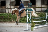 014CSO ST AULDE -PREPA 100 - TI COEUR DE CANNELLE -4577 : 2016, 3 juillet 2016, CSO Saint Aulde, PREPARATOIRE 100 cm, Prepa, SURDEAU Laura, TI COEUR DE CANNELLE