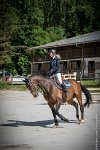 002CSO ST AULDE -PREPA 95 - TRIOMPHE DE POILLEY -1967 : 2 juillet 2016, 2016, AIRES Morgane, CSO Saint Aulde, P2, Prépa 95cm, TRIOMPHE DE POILLEY