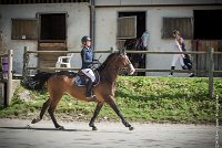 004CSO ST AULDE -PREPA 95 - TRIOMPHE DE POILLEY -1969 : 2 juillet 2016, 2016, AIRES Morgane, CSO Saint Aulde, P2, Prépa 95cm, TRIOMPHE DE POILLEY