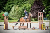 012CSO ST AULDE -PREPA 95 - TRIOMPHE DE POILLEY -1978 : 2 juillet 2016, 2016, AIRES Morgane, CSO Saint Aulde, P2, Prépa 95cm, TRIOMPHE DE POILLEY