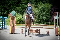 018CSO ST AULDE -PREPA 95 - TRIOMPHE DE POILLEY -1984 : 2 juillet 2016, 2016, AIRES Morgane, CSO Saint Aulde, P2, Prépa 95cm, TRIOMPHE DE POILLEY